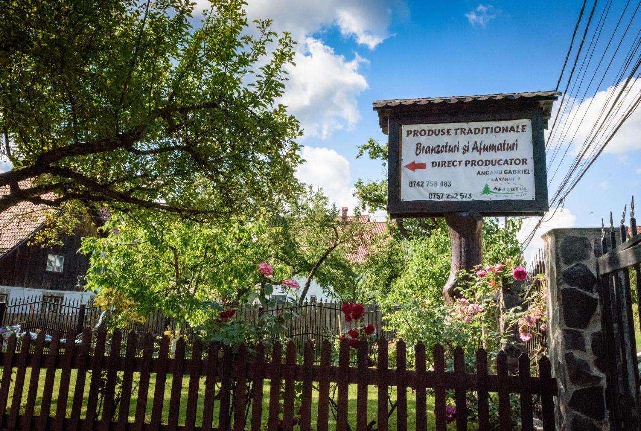 Bradutul De La Munte Villa Bran  Buitenkant foto
